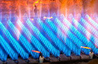 Radfall gas fired boilers